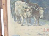 Photo 4/11 du lot