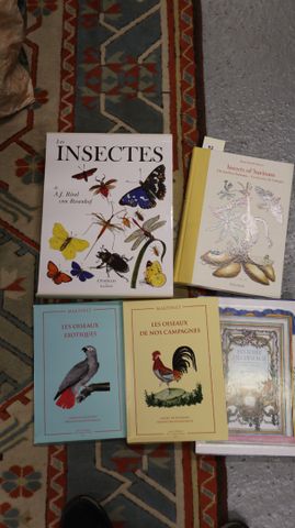 Lot de 5 ouvrages : MARTINET : les oiseaux de nos campagnes, les ...