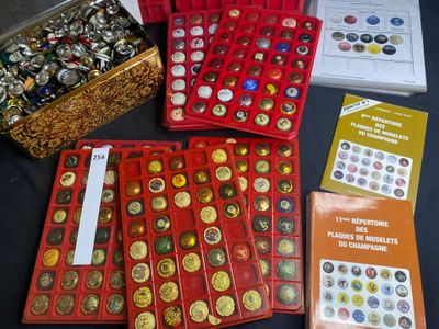 many different types of coins in a box on a table