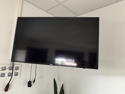 une télévision à écran plat accrochée au mur au-dessus d'une plante en pot