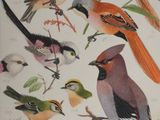 a lot of birds that are sitting on a tree branch