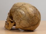 a skull that is sitting on a wooden table