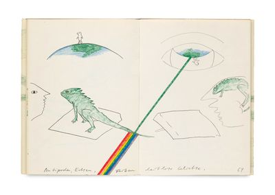an open book with a drawing of a lizard and a rainbow on it