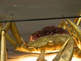 a gold crab that is on display in a glass case