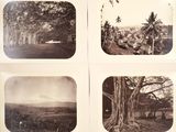 four black and white photographs of a tree, a road, and a field