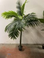 Ensemble de plantes artificielles de décoration comprenant :… (photo 5)