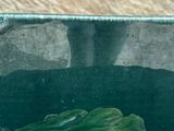 a glass vase with a picture of a fish in it