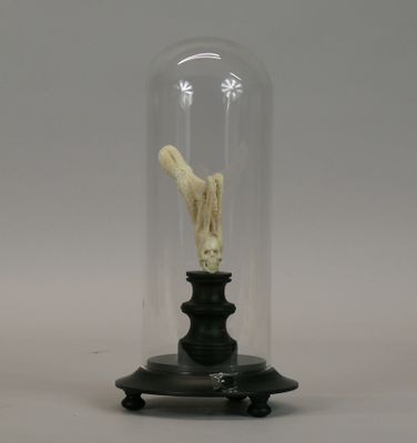 a small statue of a bird inside of a glass dome