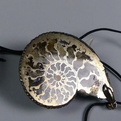 Fossiles de collection. Ammonite pyriteuse gemme sciée polie…