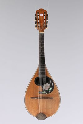an image of a mandolin hanging from a string on a wall