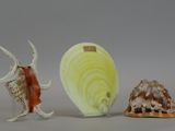 three figurines of different shapes and sizes on a table