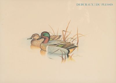 deux canards qui nagent dans l'eau