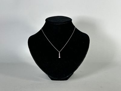 mannequin en velours noir portant un collier argenté, sur fond blanc