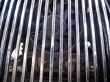 a close up view of a grill grill grill grilling