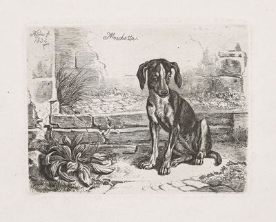 un dessin en noir et blanc représentant un chien assis par terre