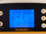a large egg incubator sitting on top of a counter