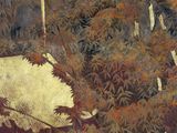 Photo 8/24 du lot