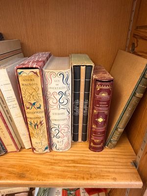 de nombreux livres qui se trouvent sur une étagère dans la pièce