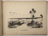 an old book with a drawing of a beach and palm trees