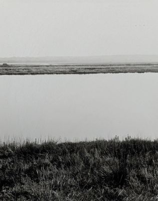 une photo en noir et blanc d'une vache au bord de l'eau