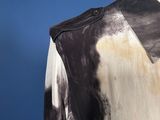 an image of a black and white shirt on a mannequin mannequin