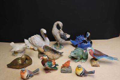beaucoup d'oiseaux posés sur une table