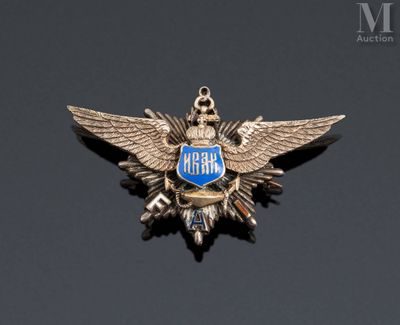an image of a silver and blue badge with wings on a black surface