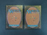 magic the gathering deck protectors