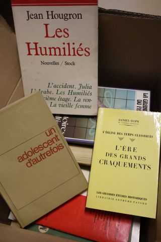 Lot de 2 cartons d’ouvrage d’art dont les merveilles du Louvre, l...