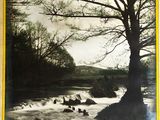 une photo en noir et blanc d'une rivière où l'on voit des canards