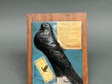 a black bird sitting on top of a wooden plaque