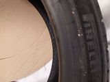 a cat that is sitting inside of a tire