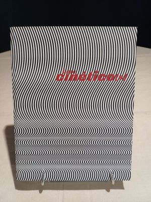 " Los Cineticos " 2009, Museo Nacional Centro de Arte Reina …