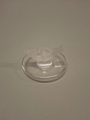 une assiette en verre posée sur une table, avec une cuillère dessus