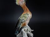 a bird that is sitting on top of a tree branch