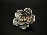 photographie - rose argentée sur fond noir, par David Gordon
