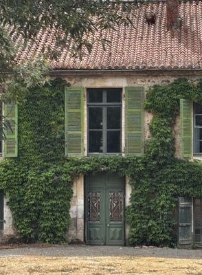 ivy covered house with green shutters and green door and windows