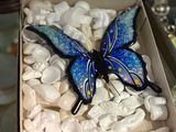 a blue butterfly sitting in a box on a table