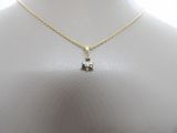 gros plan d'un torse de mannequin portant un collier