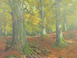 a painting of a wooded area with trees and rocks