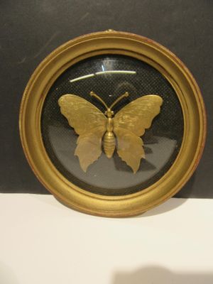 une photo d'un papillon dans un cadre doré