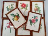 six framed pictures of fruit and flowers on the wall
