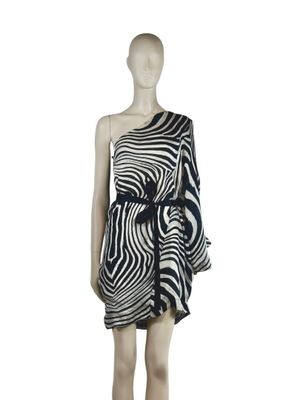 an image of a mannequin dressed in a zebra print dress