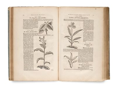 un livre ouvert sur lequel figurent des illustrations de plantes et de fleurs