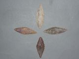 plusieurs types de feuilles sont disposés en cercle sur une surface grise
