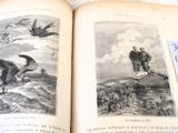 two pages of a book with pictures of birds on them
