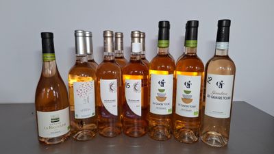 12 bouteilles de rosé : 10 bouteille les quatre tours - Gaud…