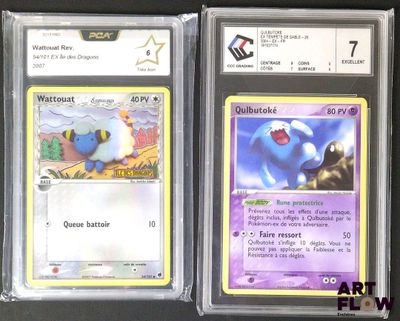 Deux cartes Pokémon sont exposées sur une surface noire.