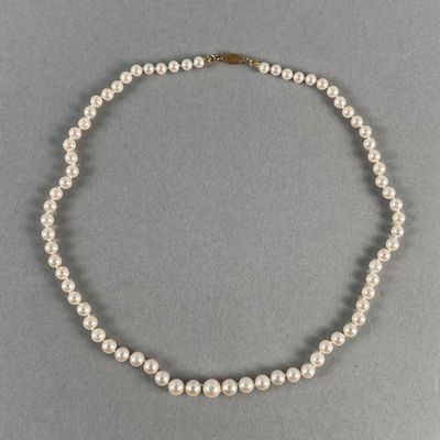 a white pearl necklace with a gold clasp