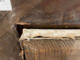 a picture of a piece of wood that has been torn off
